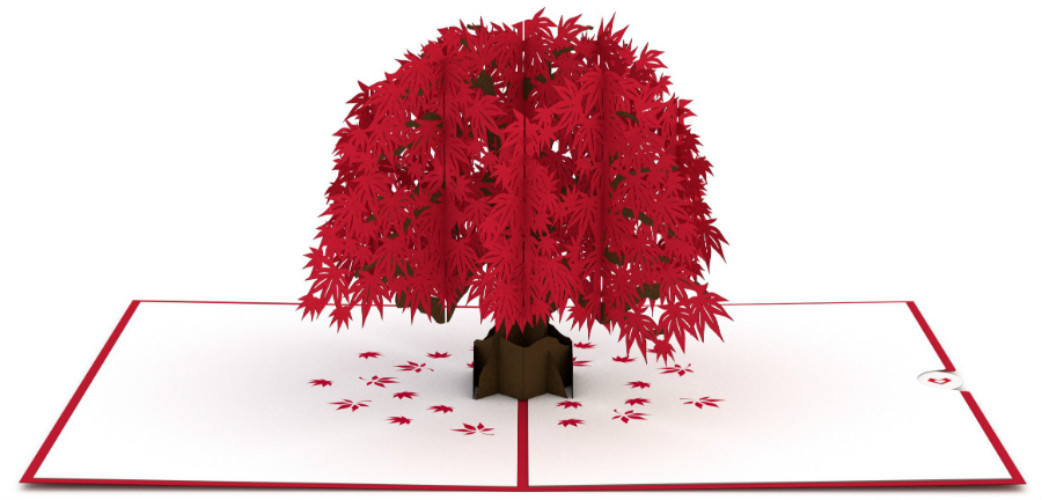 Maple Tree 3D Card | The Tree