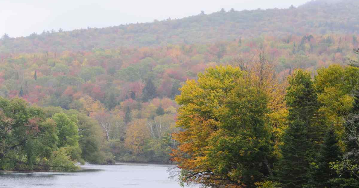 Beautiful view of the New England River Valley where The Gifted Tree has planting projects to plant gift trees.